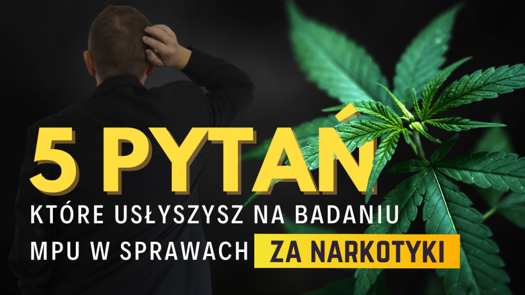 5 pytań, które usłyszysz na badaniu MPU w sprawach za narkotyki – i jak się na nie przygotować