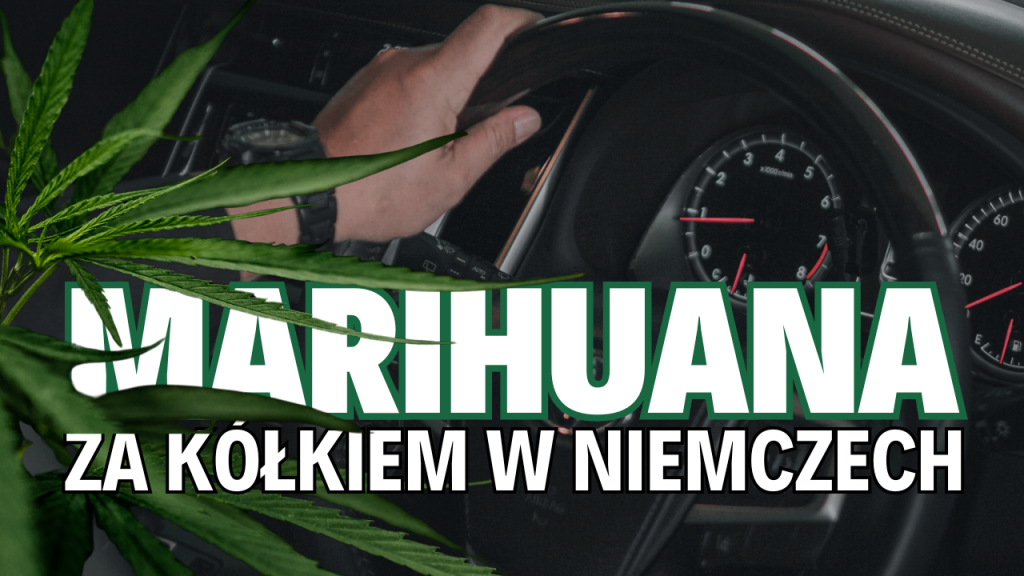 Marihuana za kółkiem w Niemczech – ukryte ryzyko, o którym kierowcy zapominają.